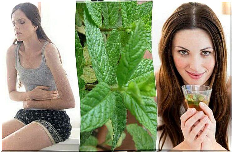 5 Amazing Homemade Remedies With Mint