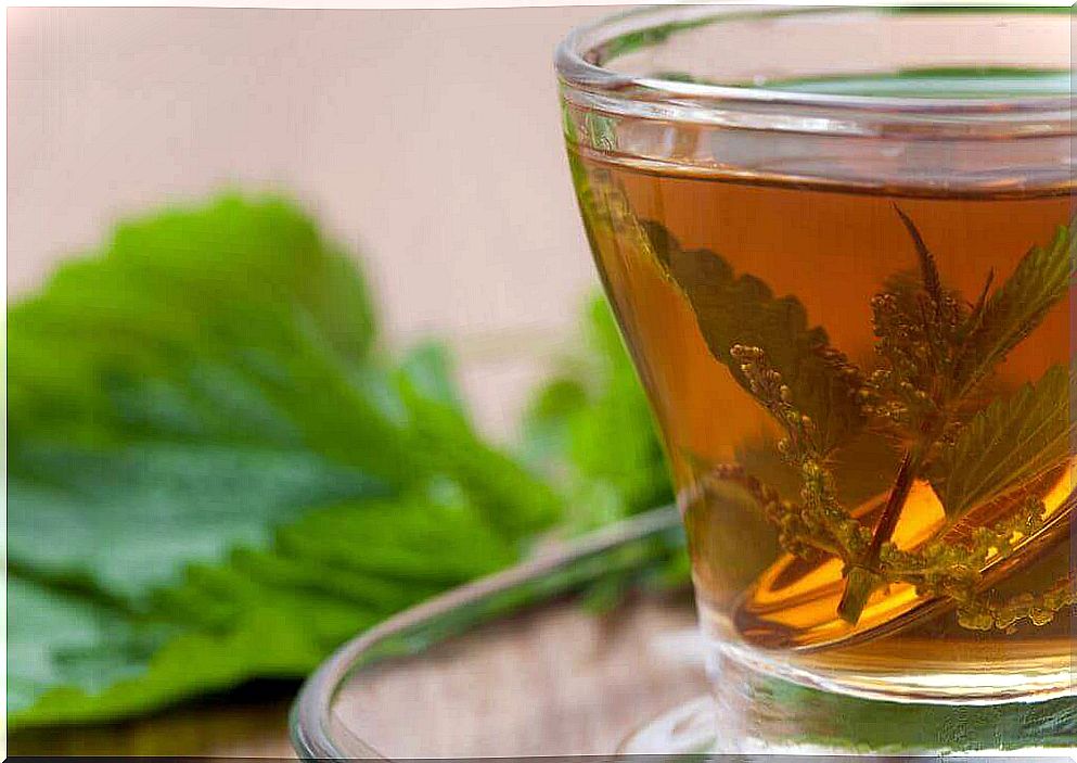 Nettle to prevent hot flashes