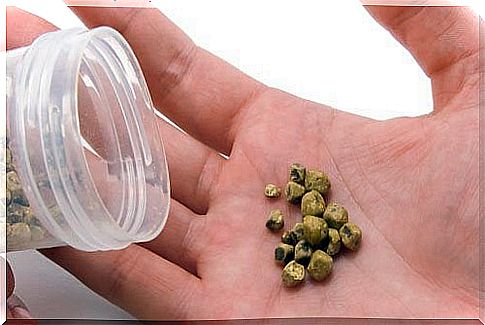 6 Foods That Can Lead to Kidney Stones