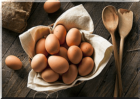 Bones of healthy fat eggs