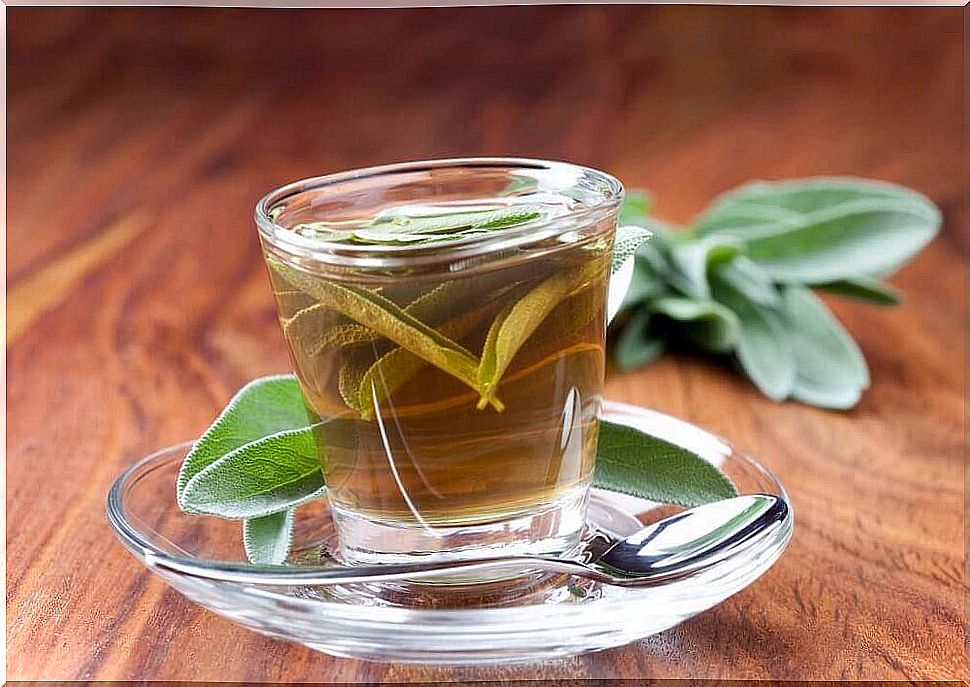 Salvia tea