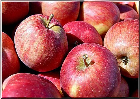 Apples are one of the fruits that can help you lose weight