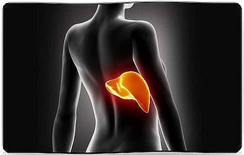 7 Signs of an Unhealthy Liver