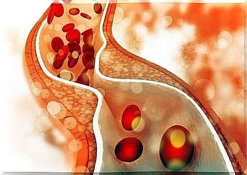 regulate cholesterol