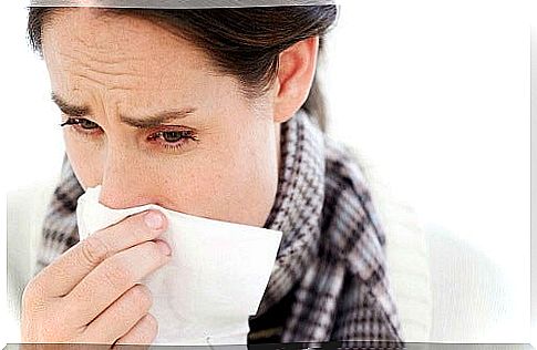 Medicinal plants that help with colds