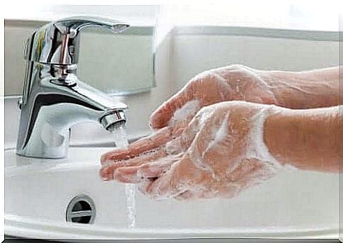 Prevent Campylobacter infections by washing your hands