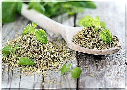 oregano tea