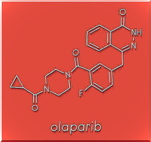 Description and characteristics of olaparib