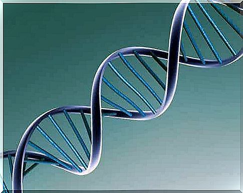 Enlargement of DNA chain