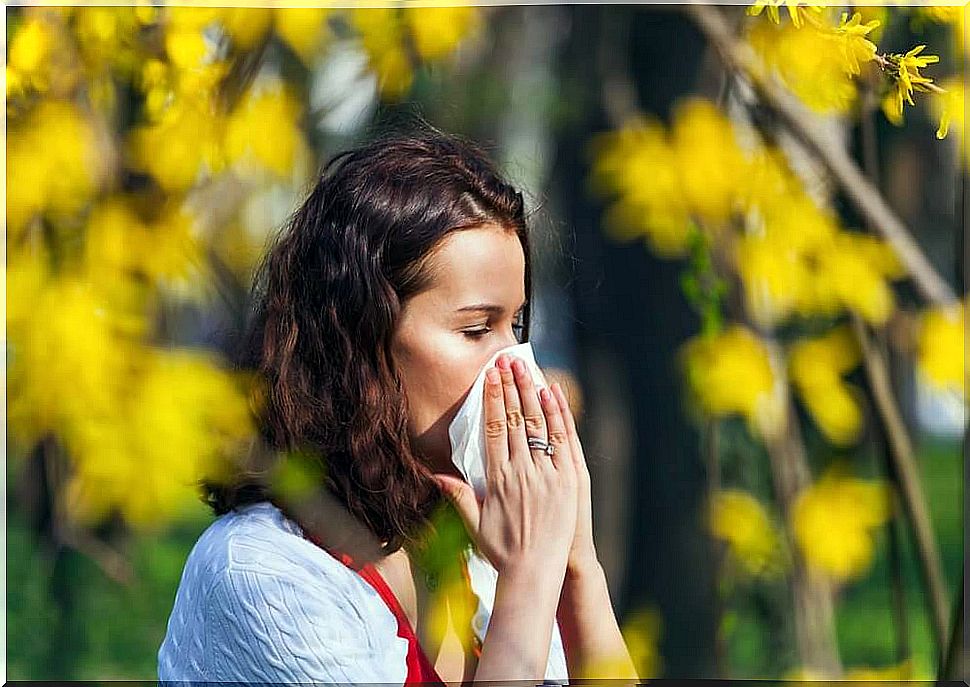 Remedies for Pollen Allergy