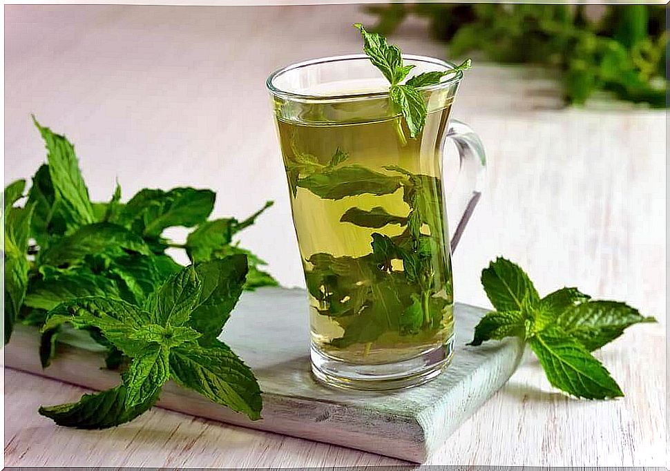 Discover the many healthy properties of mint tea