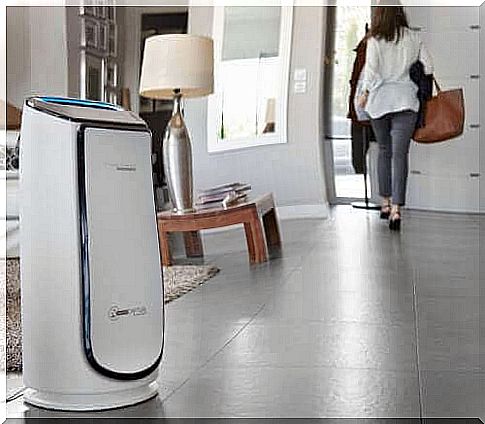 Fight pollen and allergies with an air purifier