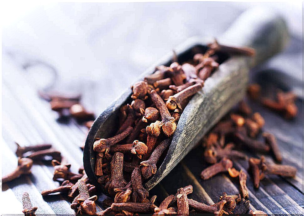 Cloves on a wooden spoon