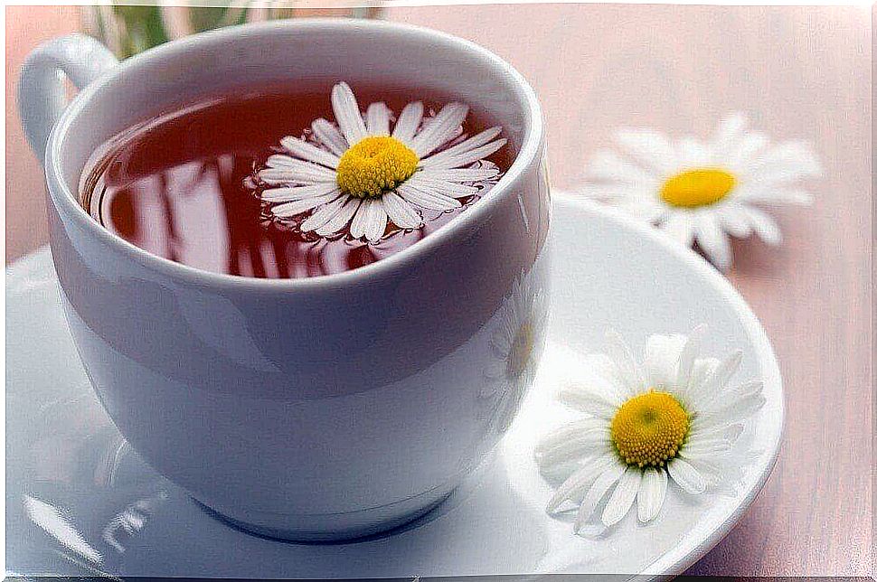 Chamomile tea with chamomile flowers