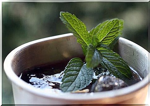 Heal your gut with mint