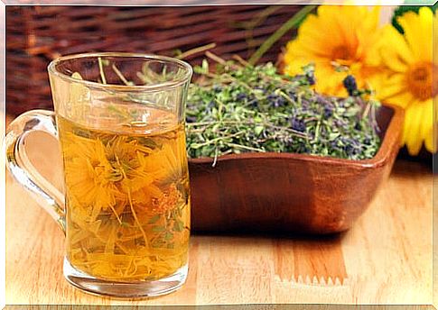 Heal your gut with herbal infusions