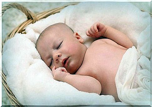 Baby sleeping in basket