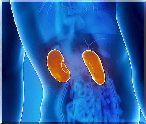 Kidney Infections: Symptoms and Treatment