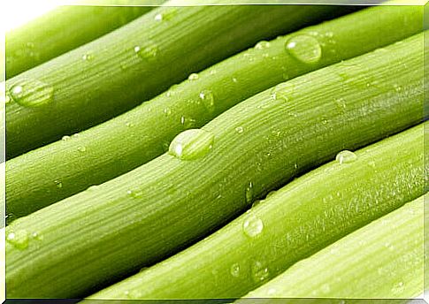 Celery