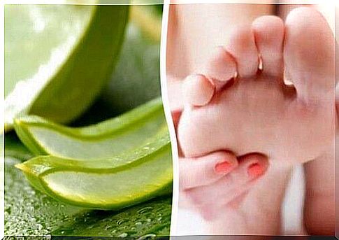 Aloe vera and a bare foot 