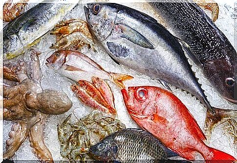 Nine unhealthy fish that you should avoid