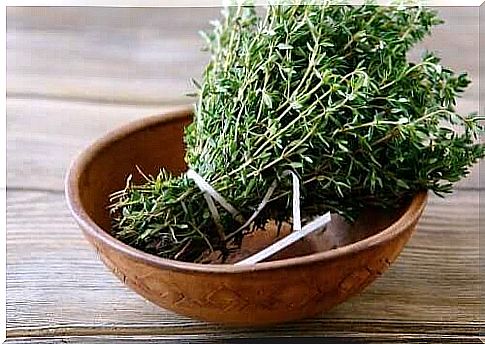 Thyme Properties and Benefits