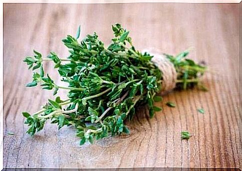 bunch of thyme