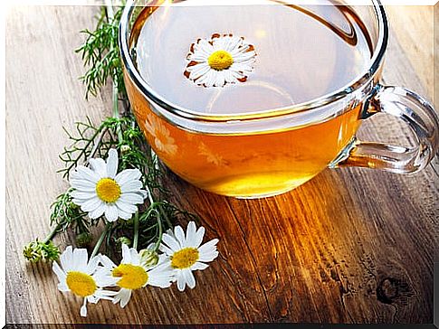 Chamomile tea with chamomile flowers