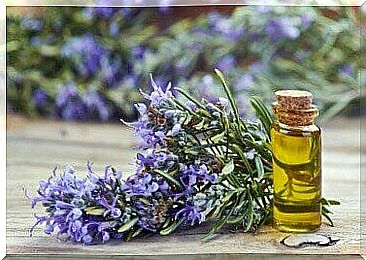 rosemary oil