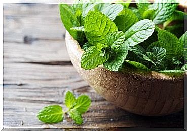 Three remedies for bad breath with mint