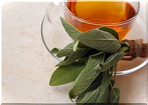 Treat Strep Throat Naturally With Sage Tea