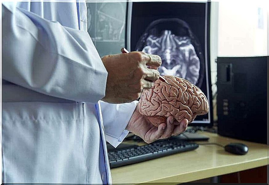 Doctor looks at brain of someone in vegetative state