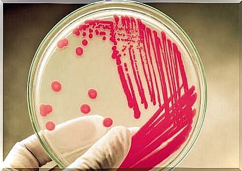 Types of Antimicrobials