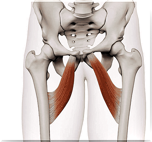 What is a hip adductor tendinopathy