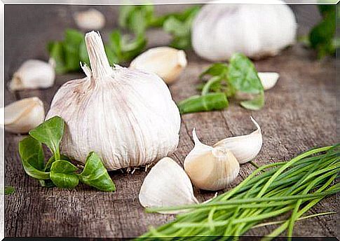 Garlic