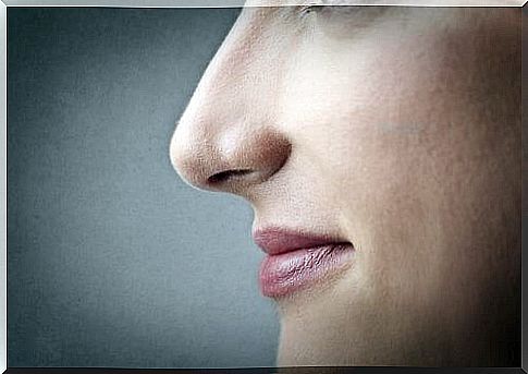 A high nose bridge is more dominant here than a wide nose bridge when it comes to the appearance of your child